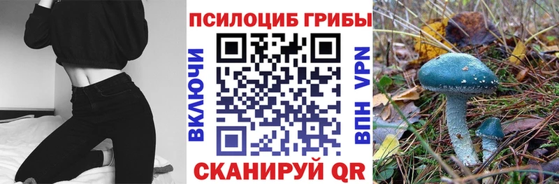 это формула  Суоярви  Псилоцибиновые грибы Psilocybe 